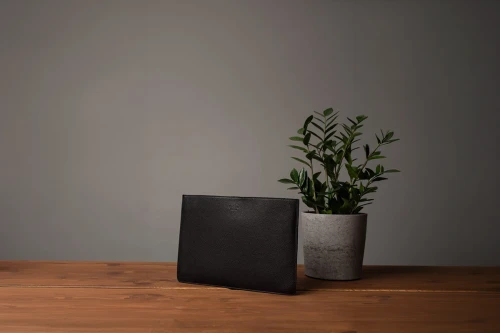 Czarne etui na laptopa firmy Garda