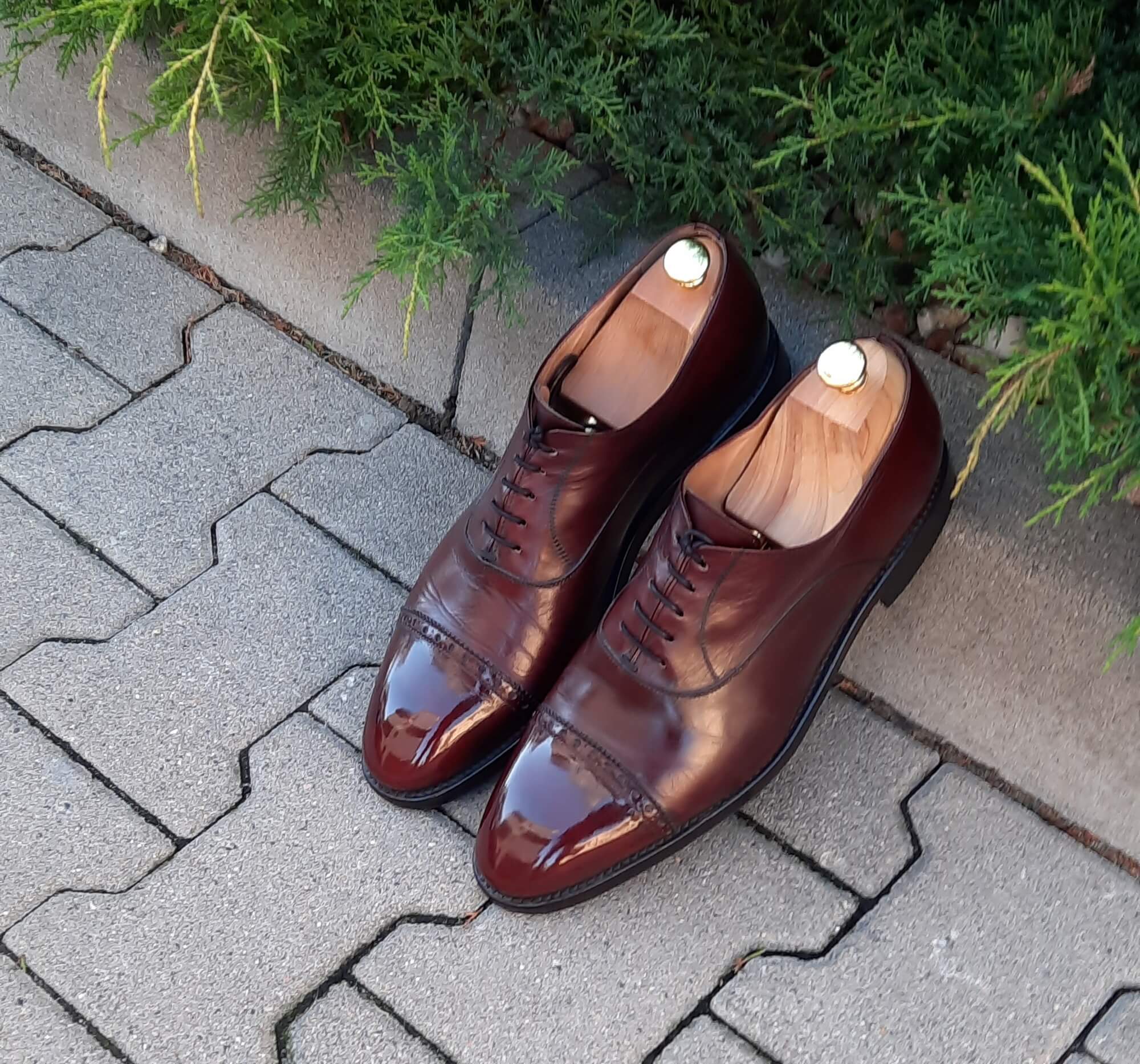 buty oksfordy quarter brogue 3577 Bordo